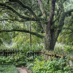 BPG-POTM-0822-Open-10