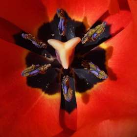 BPG-POTM-0822-Open-11