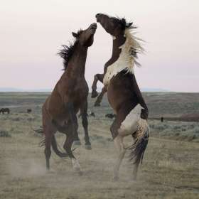 BPG-POTM-0822-Open-14