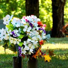 BPG-POTM-0822-Sorrow-1