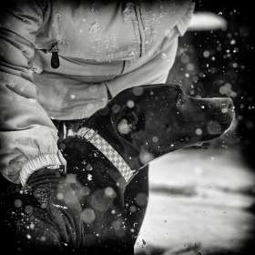 Tony-Willett-Embrace-Jt-2nd-Place-February