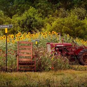 BPG-POTM-0722-Open-03