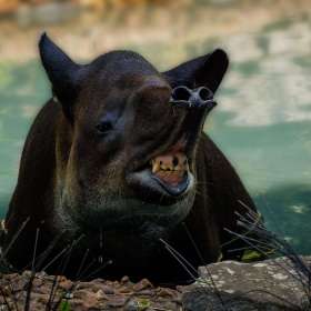 BPG-POTM-0722-Open-05