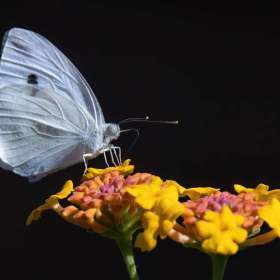 BPG-POTM-0722-Open-06