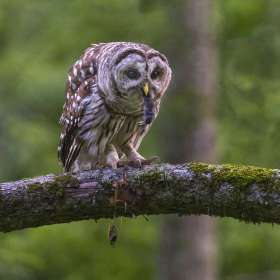 BPG-POTM-0722-Open-09