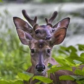 BPG-POTM-0622-Open-07