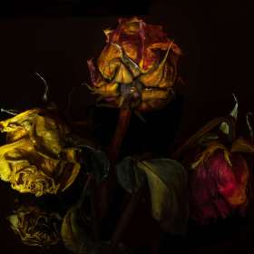 BPG-POTM-0622-Open-09