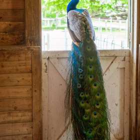 BPG-POTM-0622-Round-Things-06