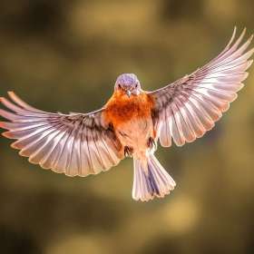 Martin-Cregg-Open-1st-Place-June