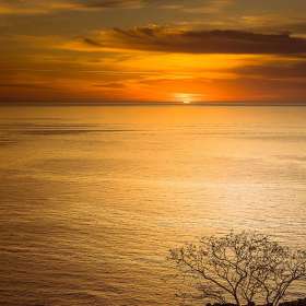 Nancy-Jewett-Opulant-Jt-2nd-Place-June