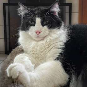 BPG-POTH-0322-Fiesty-4