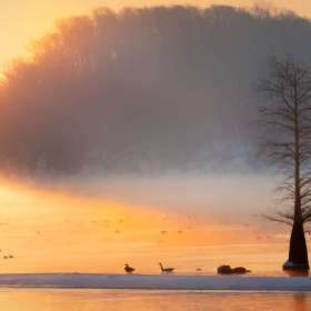 BPG-POTH-0322-Open-03