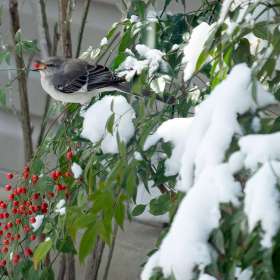 BPG-POTH-0322-Open-06