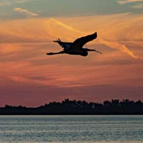 BPG-POTH-0322-Open-07