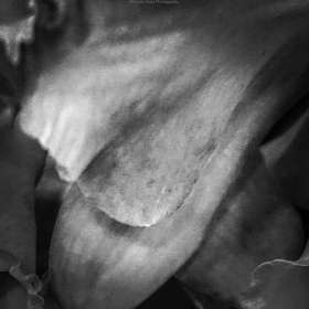 BPG-POTH-0322-Open-12