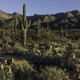 BPG-POTH-0322-Open-14