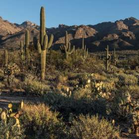 Nancy-Jewett-Other-1st-Place-March