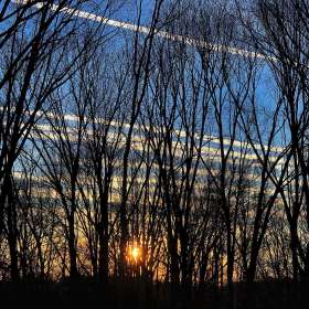 BPG-POTM-0520-Inspiration-10