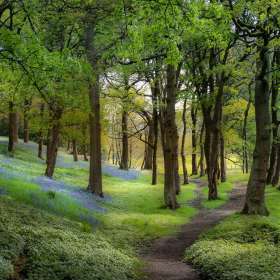 BPG-POTM-0520-Inspiration-07