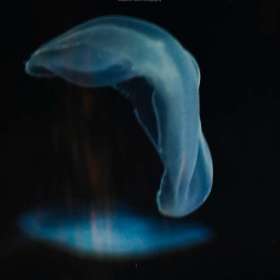 BPG-POTM-0520-Inspiration-08