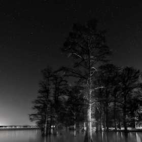 BPG-POTM-0520-Open-1