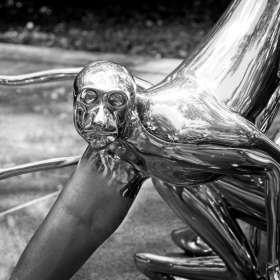 BPG-POTM-0520-Open-3