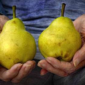 BPG-POTM-0520-Pairs-6