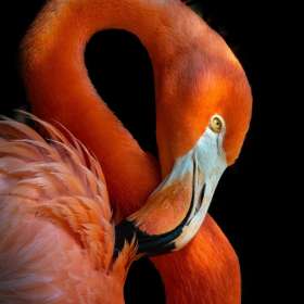 BPG-POTM-1022-Numbers-4