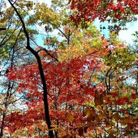 BPG-POTM-1022-Open-2