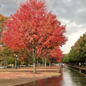 BPG-POTM-1022-Open-6