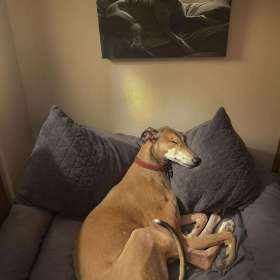 BPG-POTM-1022-Open-8