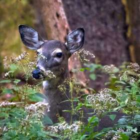 BPG-POTM-0922-Open-02