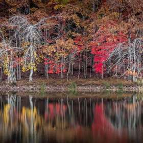 BPG-POTM-0922-Open-05