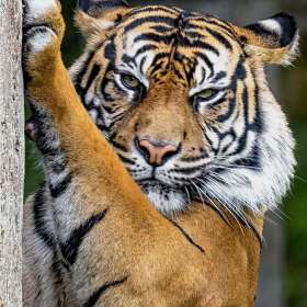 BPG-POTM-0922-Open-07