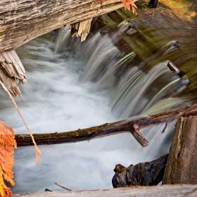 BPG-POTM-0922-Open-09