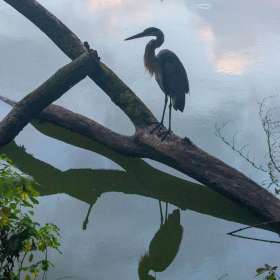 BPG-POTM-0922-Open-12