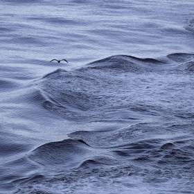 BPG-POTM-0922-Textures-01