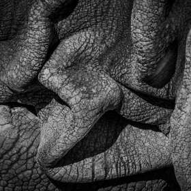 BPG-POTM-0922-Textures-02