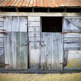 BPG-POTM-0922-Textures-03