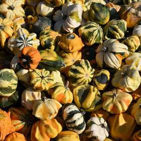 BPG-POTM-0922-Textures-04