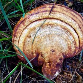 BPG-POTM-0922-Textures-05