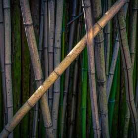 BPG-POTM-0922-Textures-08