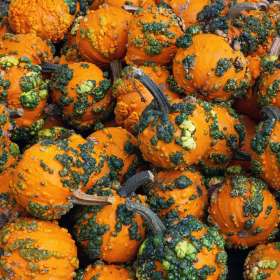 BPG-POTM-0922-Textures-10