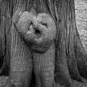 BPG-POTM-0922-Textures-11