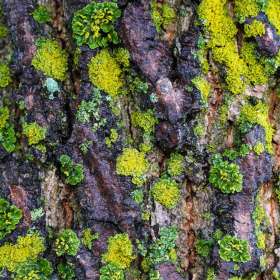 BPG-POTM-0922-Textures-13