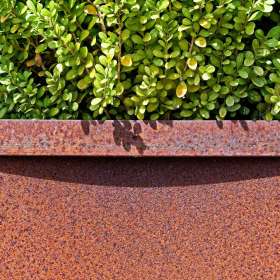 BPG-POTM-0922-Textures-14