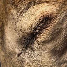 BPG-POTM-0922-Textures-15