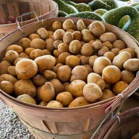 BPG-POTM-0922-Vegetables-4