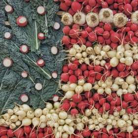 BPG-POTM-0922-Vegetables-5