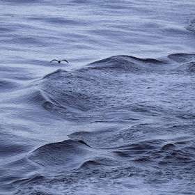 Barry-Sokol-Textures-Jt-1st-Place-September